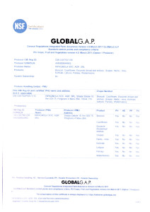 Altro_2.PDF