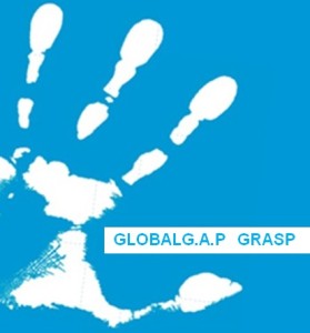 GRASP
