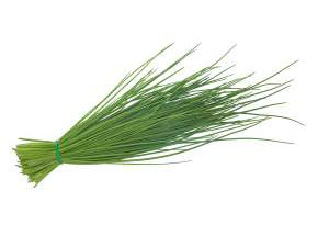 Erba cipollina  